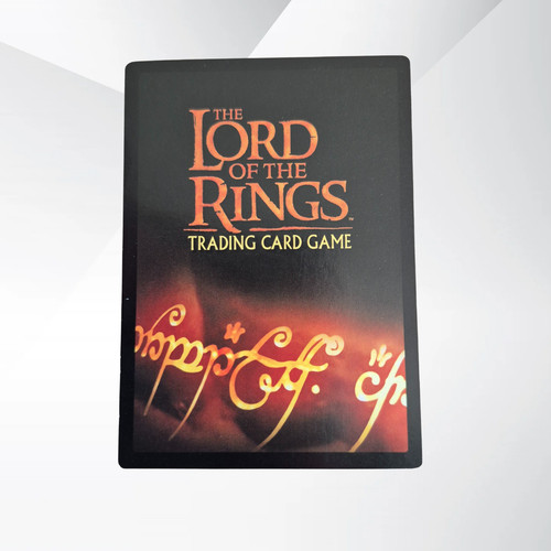 Lord the rings - the, black